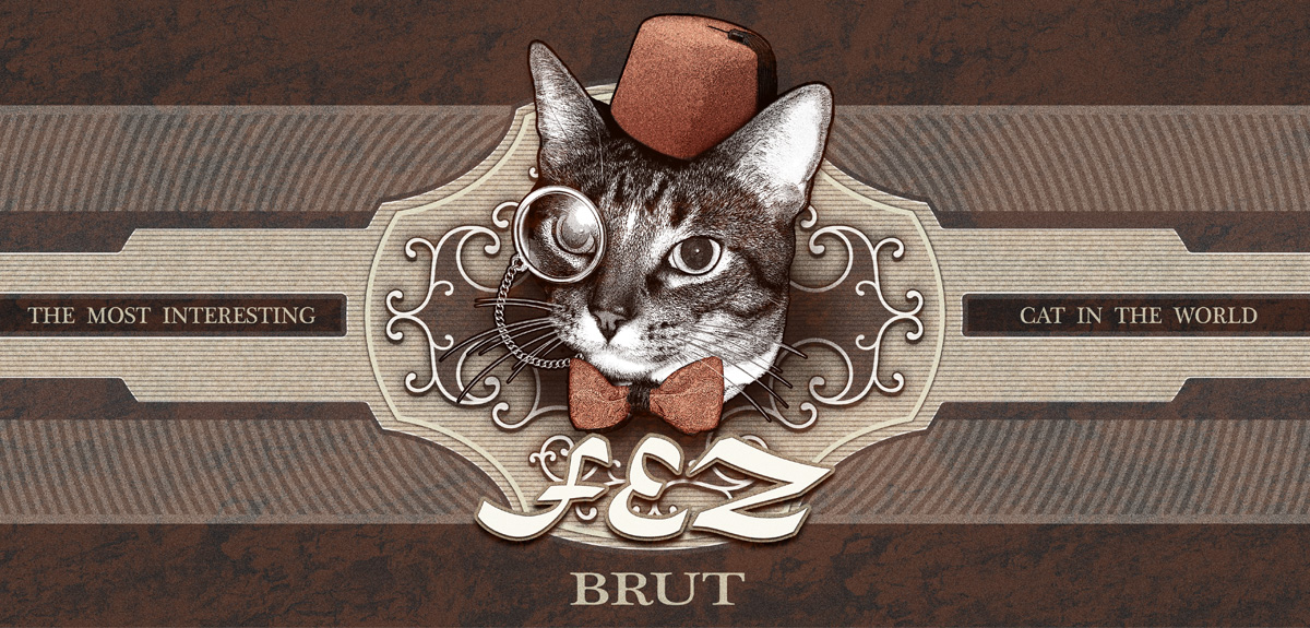 Fez is a tabby with an air of mystery and sophistication