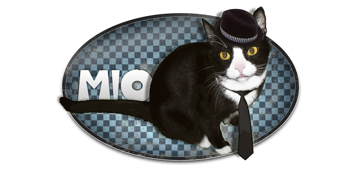 Mio is a tuxedo cat and likes Ska music